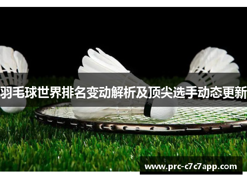 羽毛球世界排名变动解析及顶尖选手动态更新