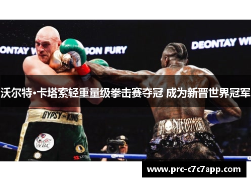 沃尔特·卡塔索轻重量级拳击赛夺冠 成为新晋世界冠军