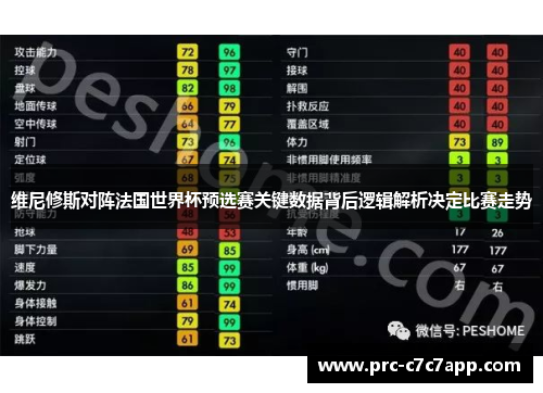 维尼修斯对阵法国世界杯预选赛关键数据背后逻辑解析决定比赛走势